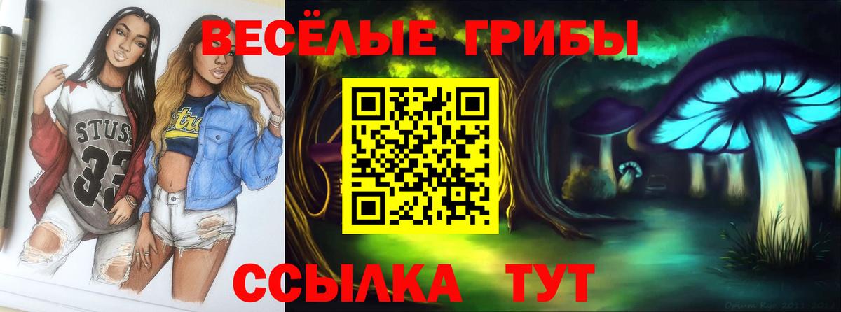 Галлюциногенные грибы MAGIC MUSHROOMS Санкт-Петербург