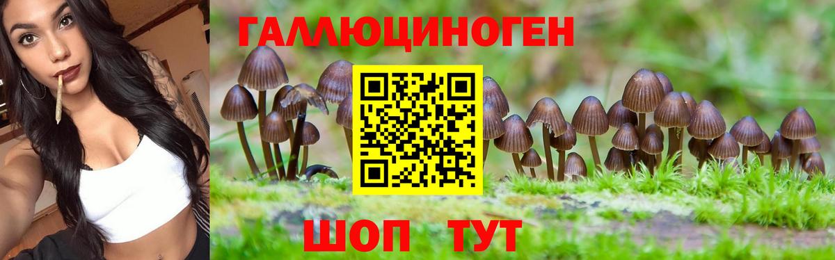 Санкт-Петербург  Псилоцибиновые грибы Cubensis  наркотики  Вход с VPN 
